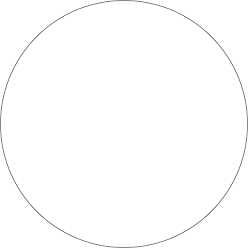Plain black circle on white background.